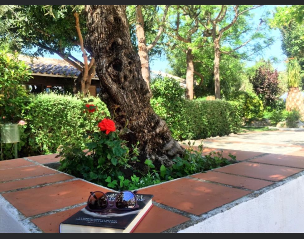 Hotel Alcadima Lanjaron Bagian luar foto