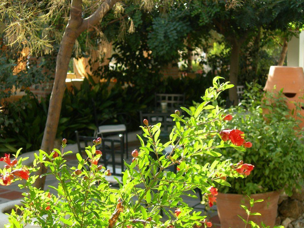 Hotel Alcadima Lanjaron Bagian luar foto